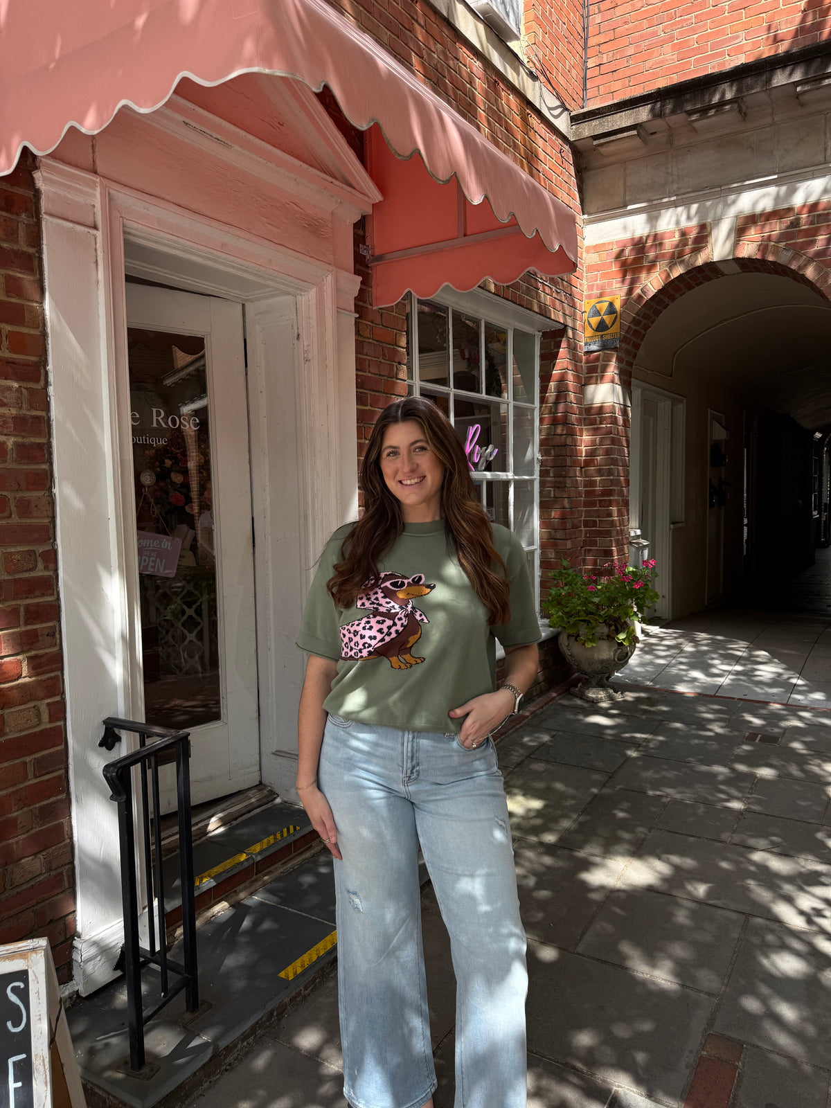 Dachshund Top